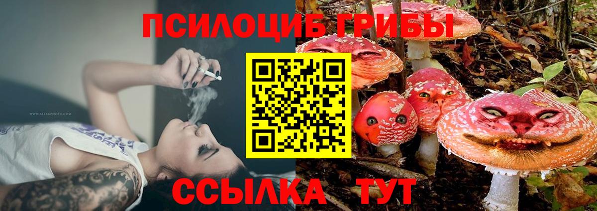 Псилоцибиновые грибы Psilocybe Октябрьский
